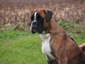 tiberio (2)